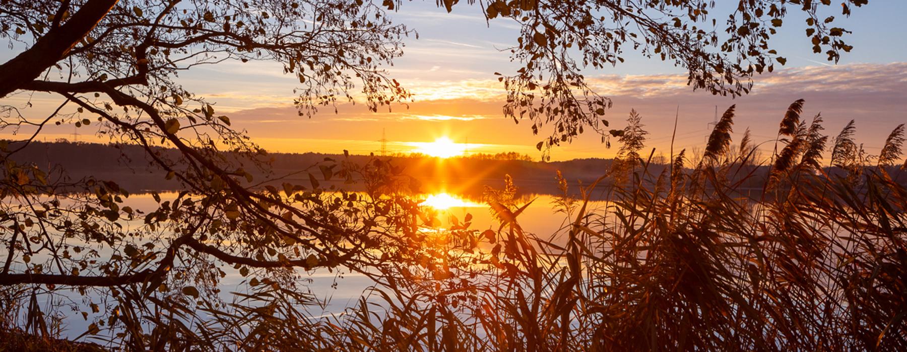 View of a sunset at the lake in Thalberg
