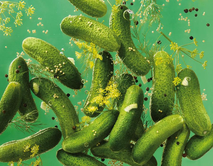 Bild mit mehreren schwimmenden Gewürzgurken der Obst- und Gemüseverarbeitung Spreewaldkonserve Golßen
